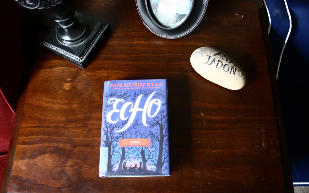 Echo: A Kid-Lit Novel that Brings Up A Host of Issues